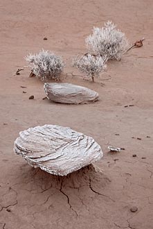 Frosty Rocks And Sagebrush