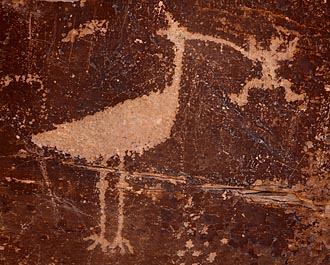 Bird Petroglyph