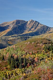 Fall Color Mountainside