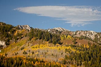 Cloud Over Fall Color